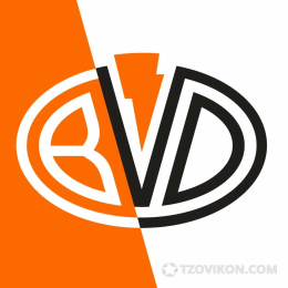 Магазин электротранспорта BVDSHOP
- отзывы