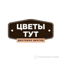 
                            Доставка цветов Цветы Тут
                         - отзывы