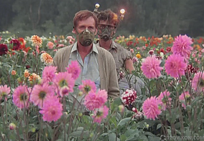 
                            Фильм &laquo;Кин-дза-дза&raquo;, 1986
                         - отзывы
