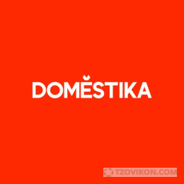 Онлайн-курсы Domestika
- отзывы