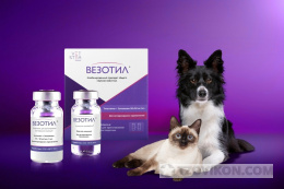 
                            Средства для наркоза &laquo;Везотил&raquo;
                         - отзывы