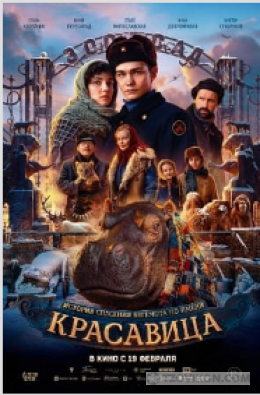 Фильм «Красавица», 2026
- отзывы