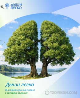 Дышилегко.рф – сайт
- отзывы