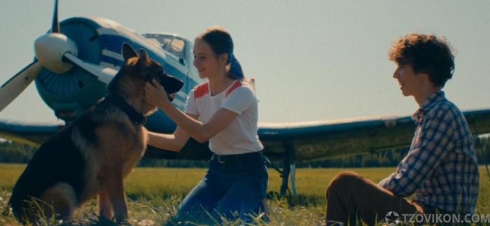 Фильм «Пальма-2», 2024
- отзывы